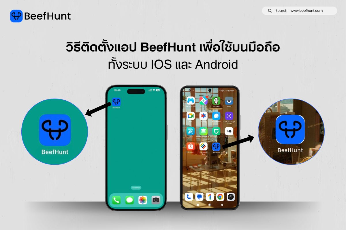 วิธีติดตั้งแอป BeefHunt เพื่อใช้บนมือถือ ระบบ IOS และ Android